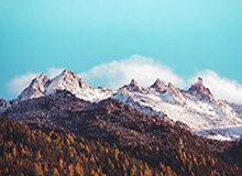 阿里斯队官宣签下字母哥胞弟亚历克斯-阿德托昆博 合约为期两年