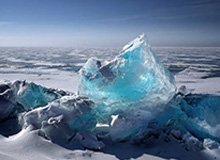 阿里斯队官宣签下字母哥胞弟亚历克斯-阿德托昆博 合约为期两年